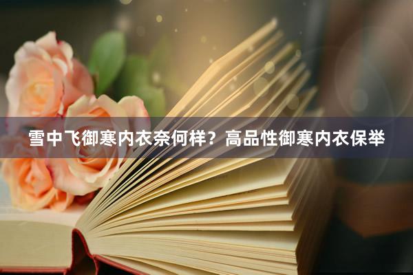 雪中飞御寒内衣奈何样？高品性御寒内衣保举